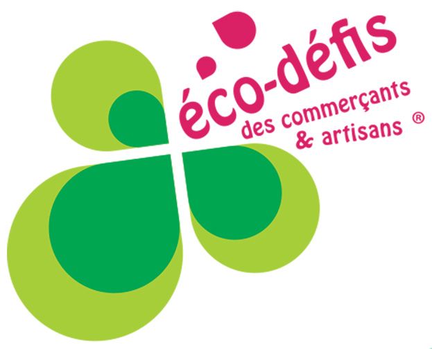 ECODEFIS logo p2