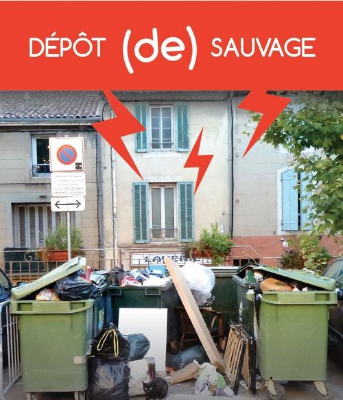 depot sauvage