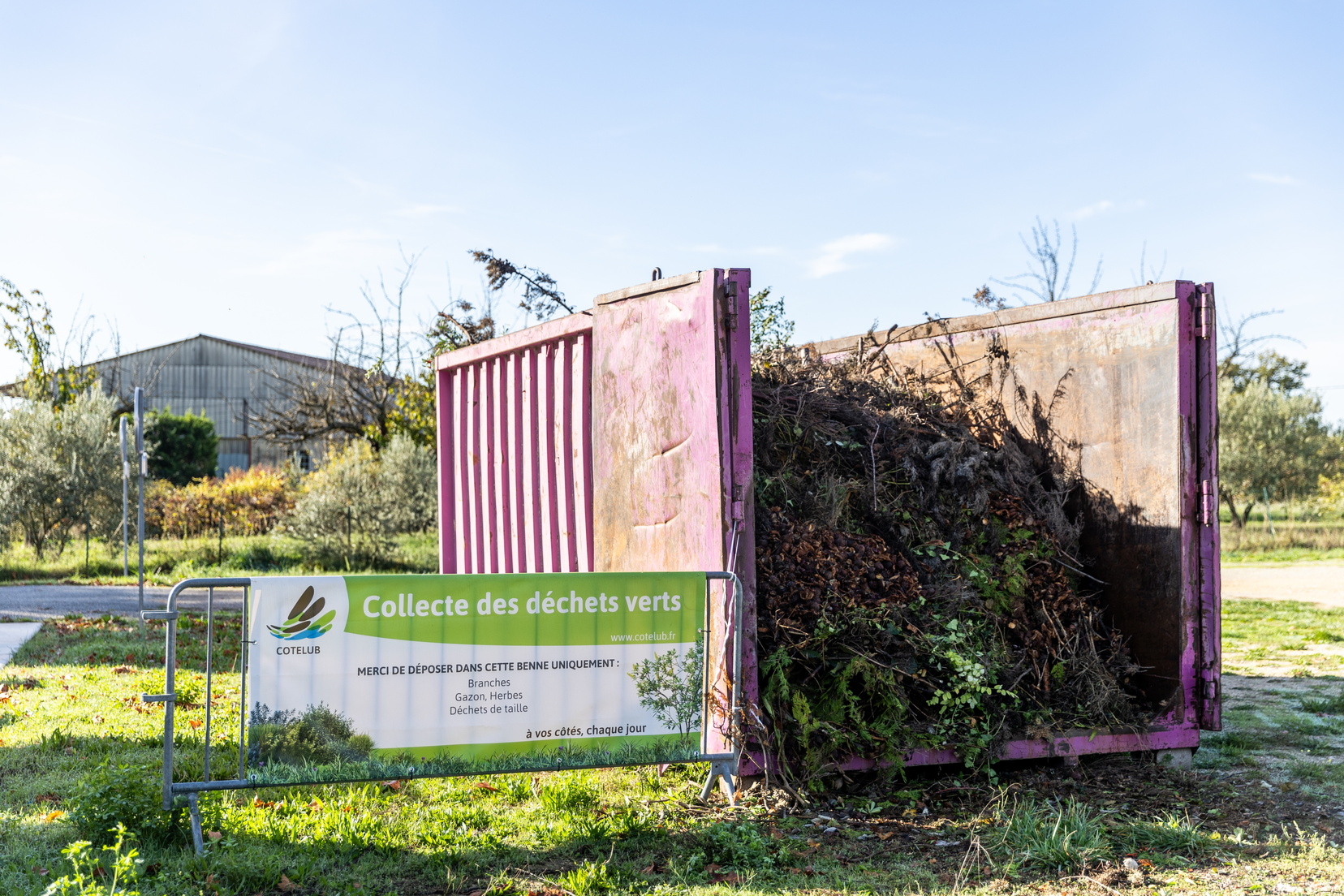 Campagne de collecte des déchets verts