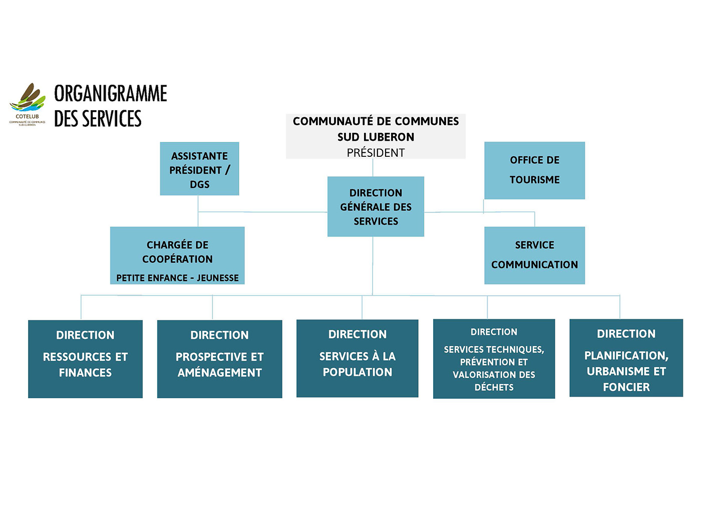 organigramme-des-services-cotelub-entete-article